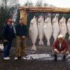 Alaska Guided Salmon ,Trout , & HALIBUT Fishing Vacation, Lodging & Photos