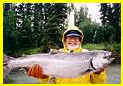 Alaska  Cook Inlet & Homer Halibut Fishing